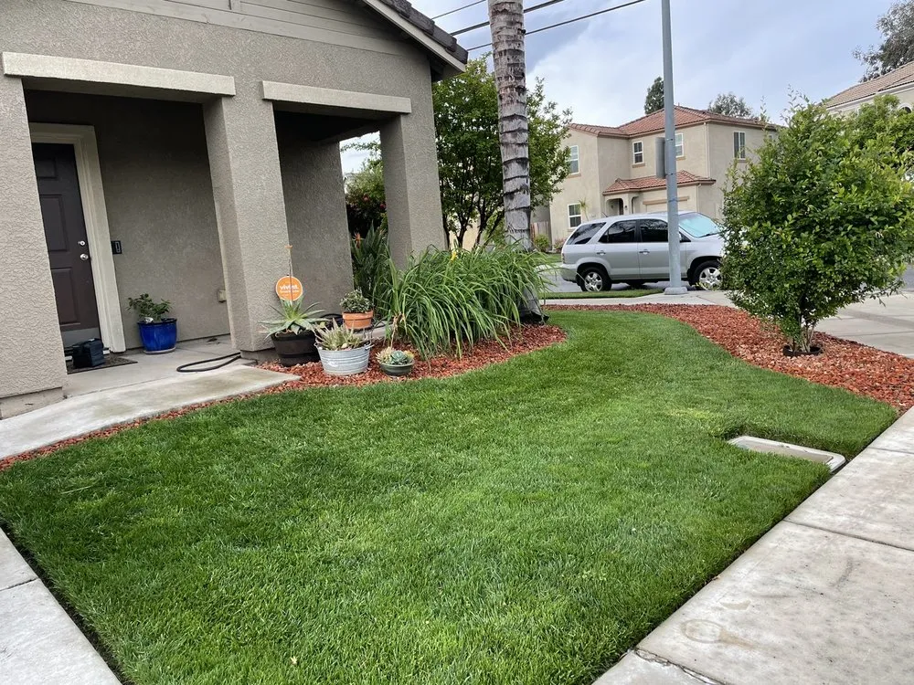 Expert outdoor landscaping near you across Modesto, CA - Natural Landscaping
