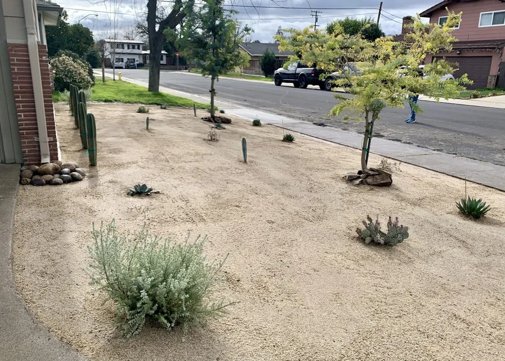 Top-rated yard cleanup service in Modesto, CA - Natural Landscaping