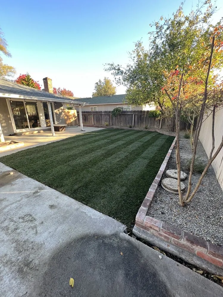 Top-rated landscape installation for beautiful yards across Modesto, CA - Natural Landscaping