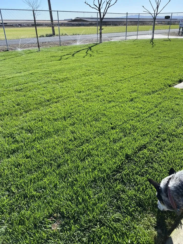 Custom lawn mowing service experts serving Modesto, CA - Natural Landscaping