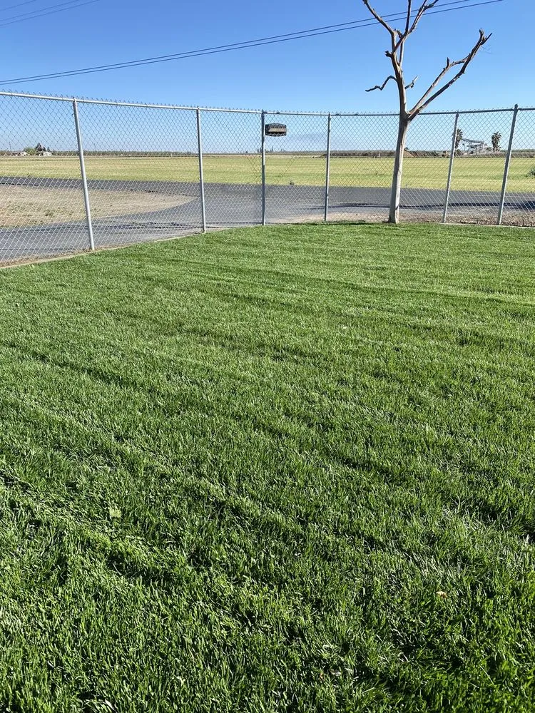 Trusted yard maintenance with custom design across Modesto, CA - Natural Landscaping