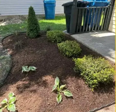 Professional landscaping services in Virginia Beach, VA - Natural Landscaping