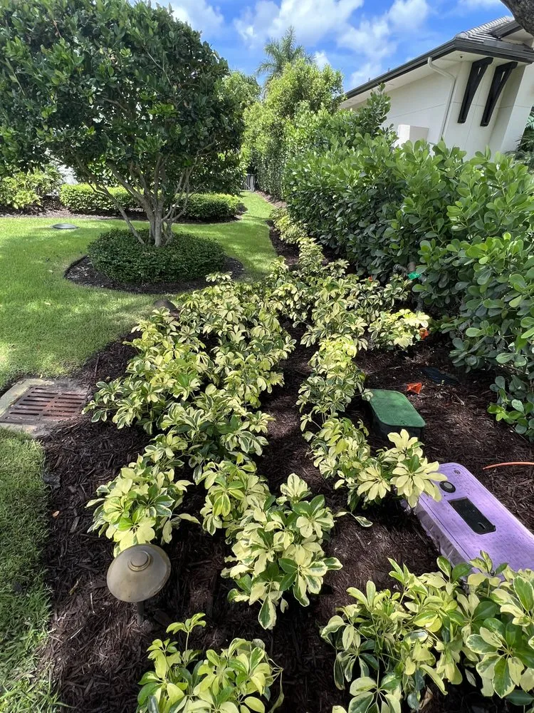 Expert landscaping services experts serving Naples, FL - Natural lawn Maintenance