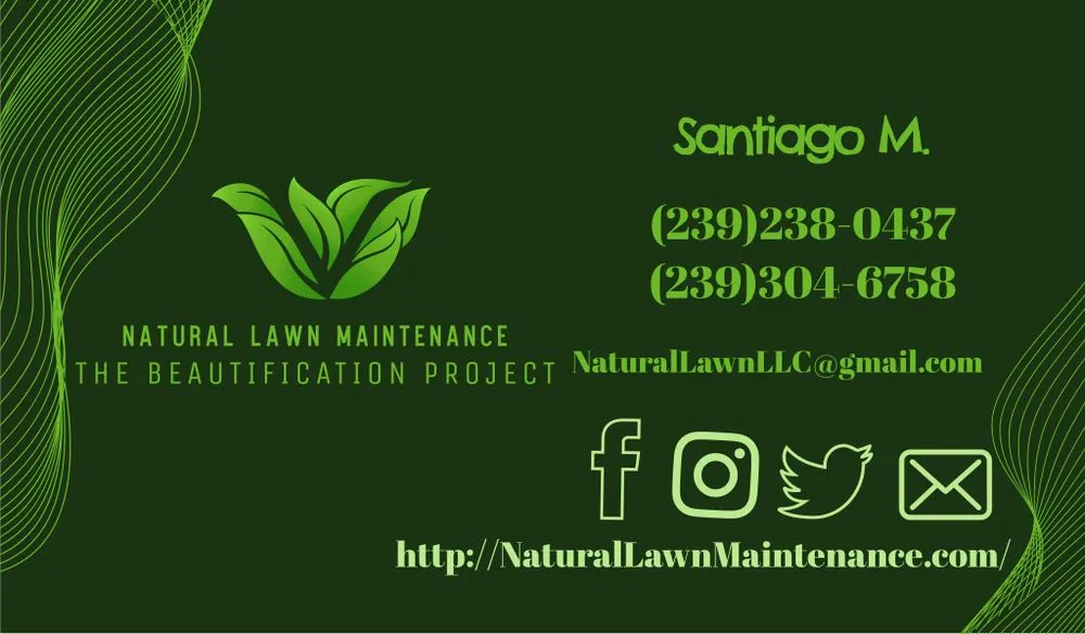 Reliable yard cleanup service in Naples, FL - Natural lawn Maintenance