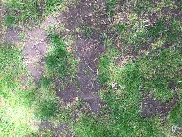 Expert outdoor landscaping for outdoor upgrades in Norwalk, CT by Natural Lawn of America