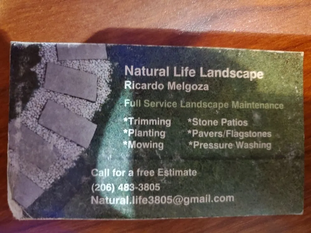 Custom outdoor landscaping in Seattle, WA by Natural life Landscaping