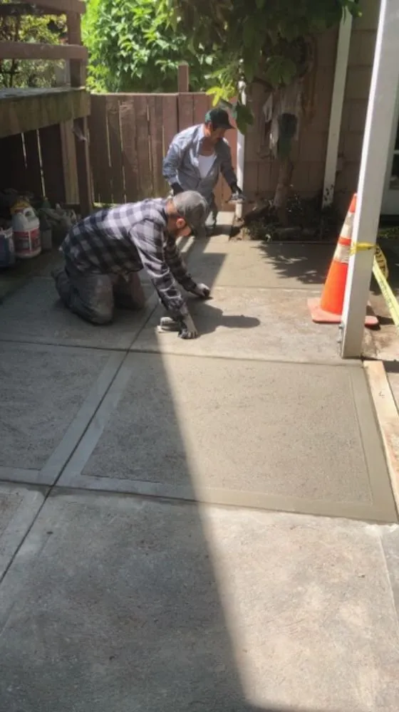 Affordable landscape installation in Seattle, WA by Natural life Landscaping