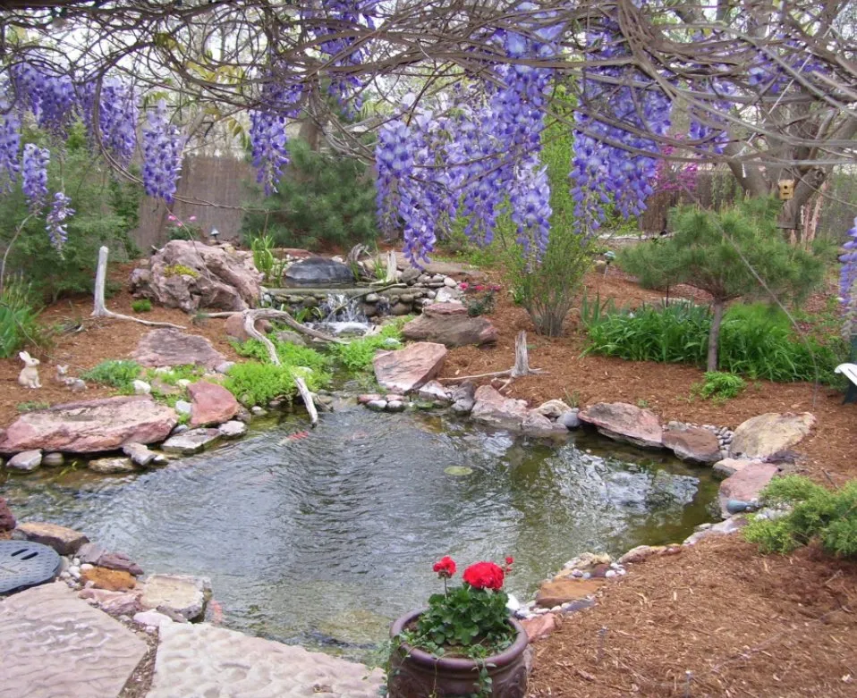 Professional lawn care service for year-round maintenance in Tuttle, OK by Natural Look Water Features