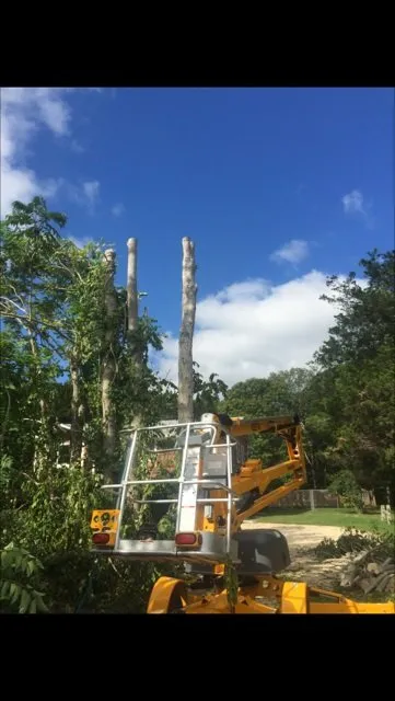 Reliable landscaping services in Hampton Bays, NY by Natural Maple Landscaping