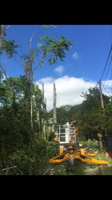 Trusted yard maintenance in Hampton Bays, NY by Natural Maple Landscaping