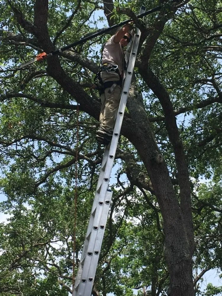 Affordable landscape installation experts serving Fort Lauderdale, FL - Natural Path Landscaping