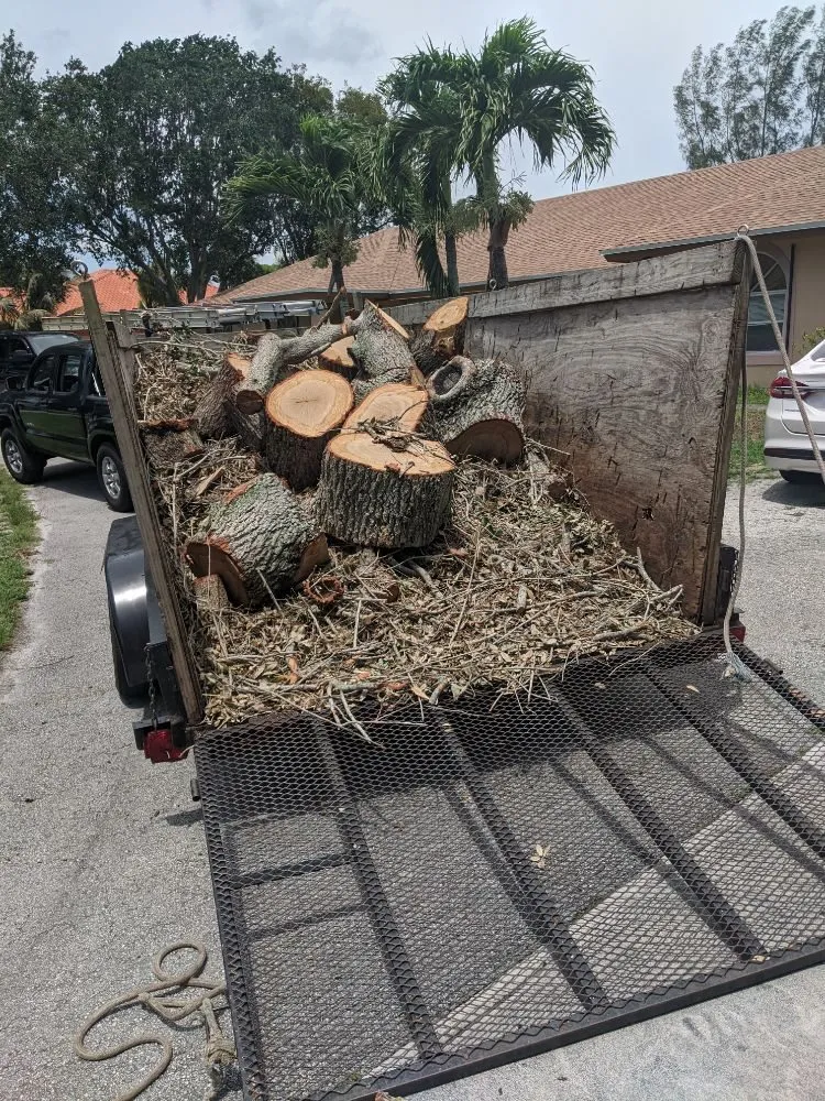 Affordable landscaping services for year-round maintenance across Fort Lauderdale, FL - Natural Path Landscaping