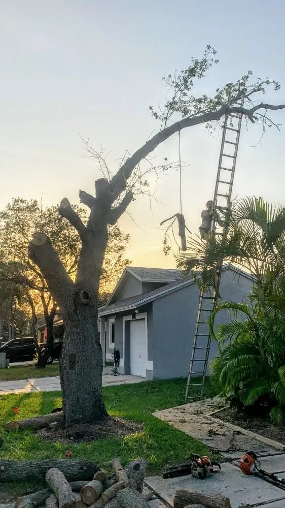 Expert landscaping services for homes across Fort Lauderdale, FL - Natural Path Landscaping