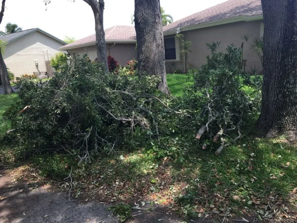 Trusted lawn mowing service for beautiful yards in Fort Lauderdale, FL by Natural Path Landscaping