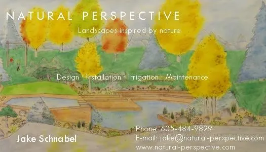 Expert lawn care service in Rapid City, SD by Natural Perspective