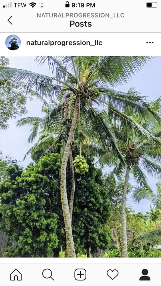 Professional residential landscaping near you in Kapaau, HI by Natural Progression