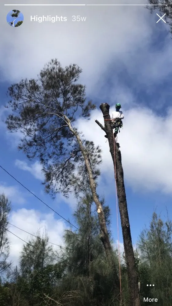 Trusted residential landscaping for outdoor upgrades in Kapaau, HI by Natural Progression