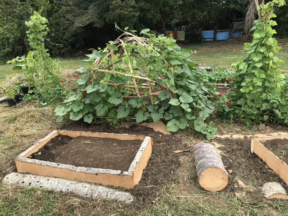 Local garden landscaping in Kapaau, HI - Natural Progression