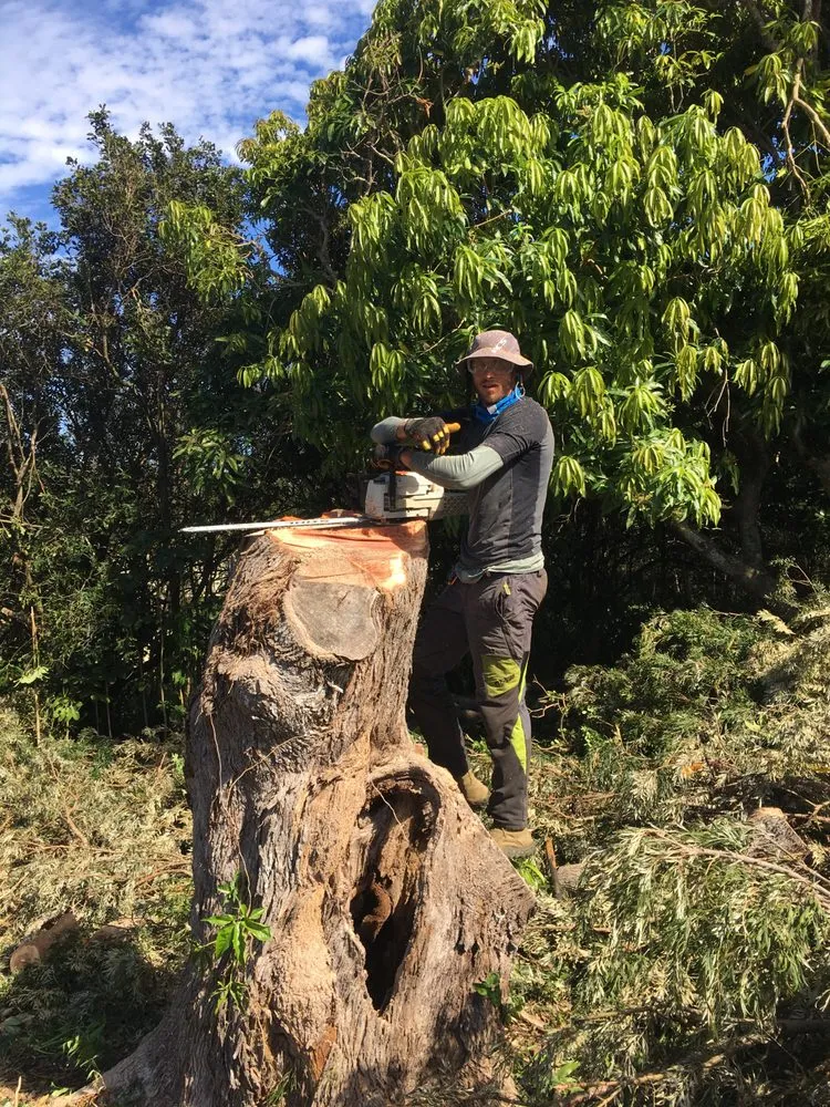 Top-rated lawn care service in Kapaau, HI - Natural Progression