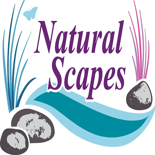 Reliable yard cleanup service in Hickory, NC - Natural Scapes Asheville