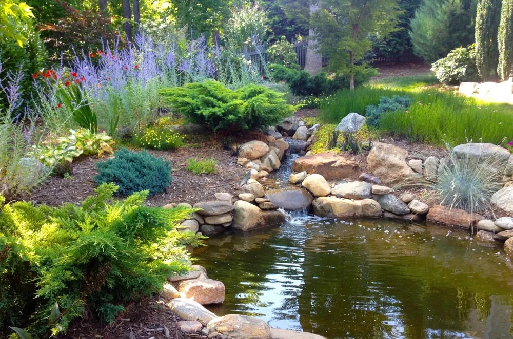 Reliable outdoor landscaping experts serving Asheville, NC - Natural Scapes