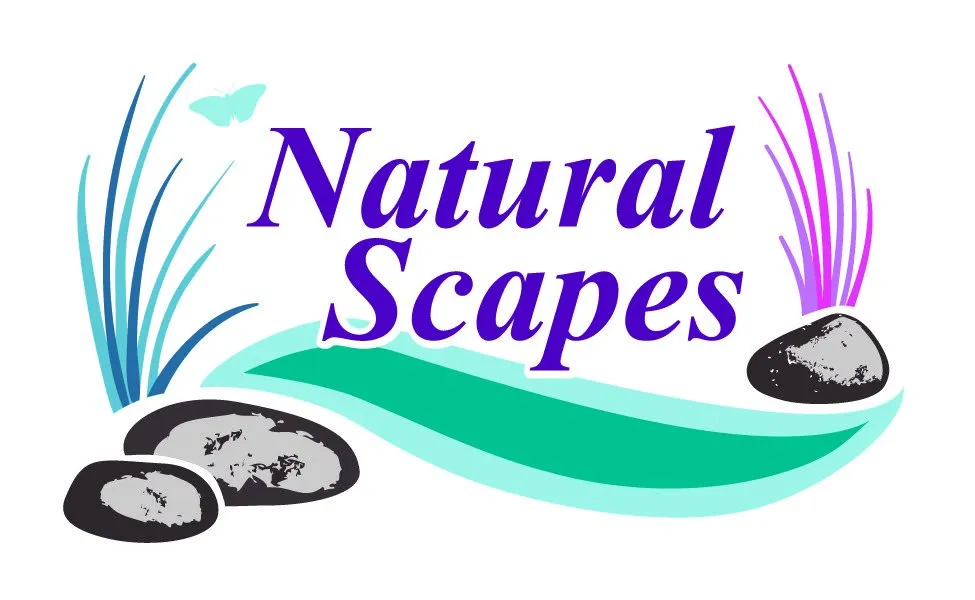Trusted outdoor landscaping for residential properties in Asheville, NC by Natural Scapes