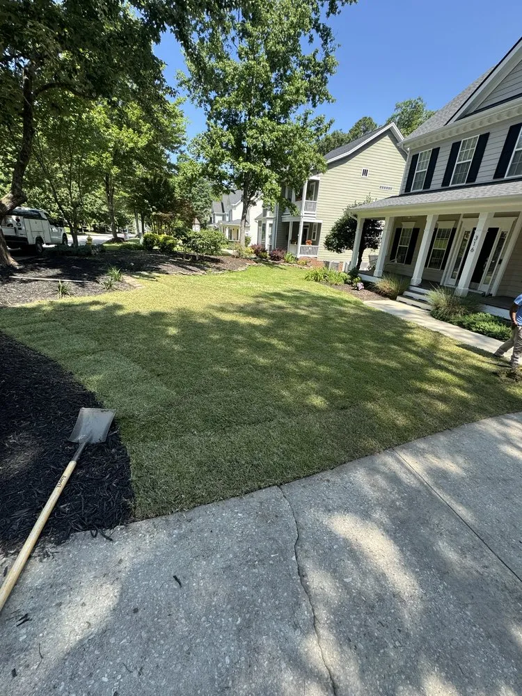 Custom yard cleanup service in Raleigh, NC - Natural Scapes