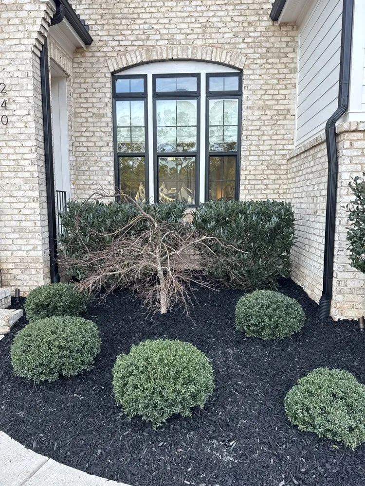 Professional yard maintenance in Raleigh, NC by Natural Scapes