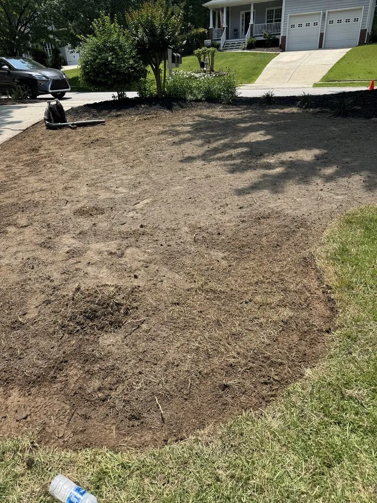 Top-rated yard cleanup service for beautiful yards across Raleigh, NC - Natural Scapes