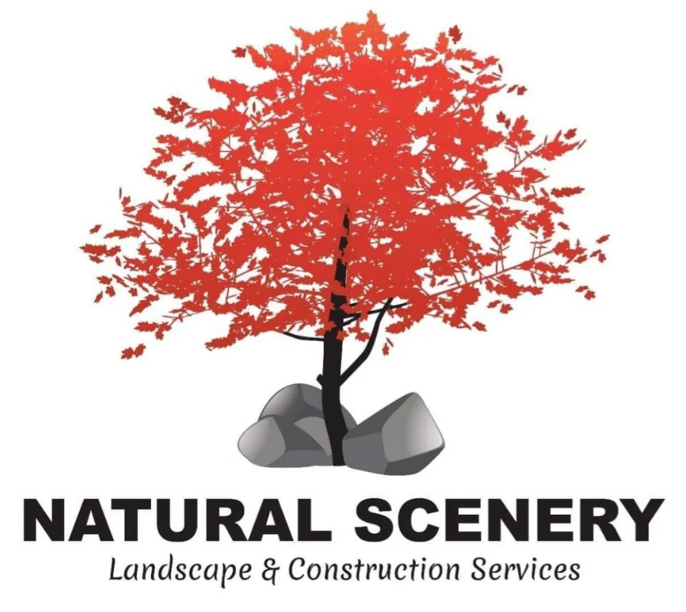 Custom yard maintenance in Monroe, WA - Natural Scenery