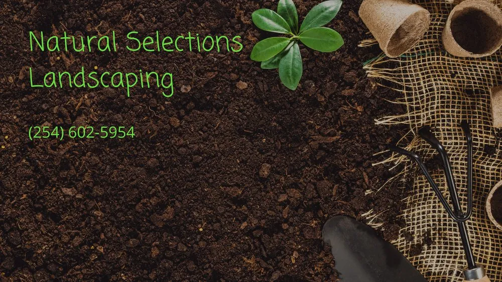 Top-rated yard cleanup service experts serving Waco, TX - Natural Selections Landscaping