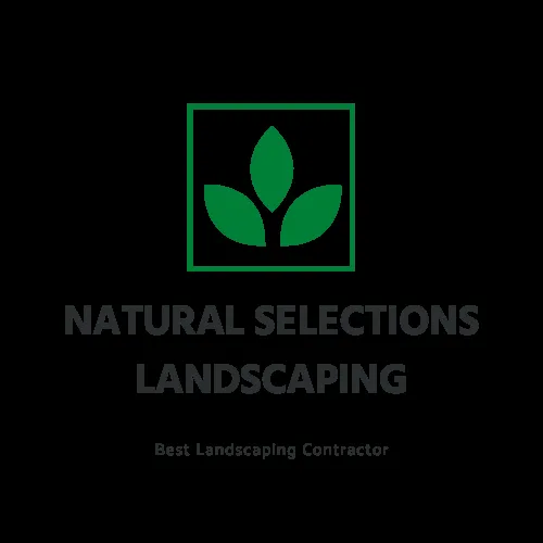 Professional yard maintenance for homes across Waco, TX - Natural Selections Landscaping