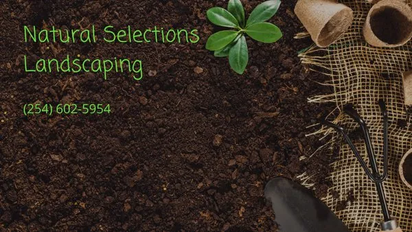 Natural Selections Landscaping Logo