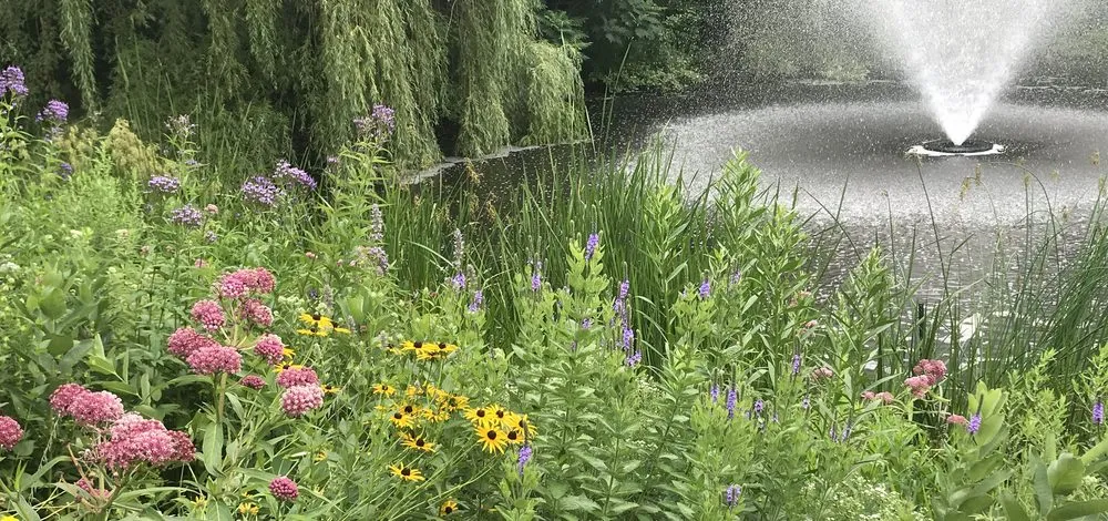 Affordable outdoor landscaping for beautiful yards in Independence, MN by Natural Shore