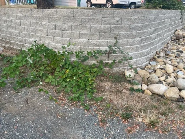 Reliable landscaping services experts serving Arlington, WA - Natural Solution Landscape