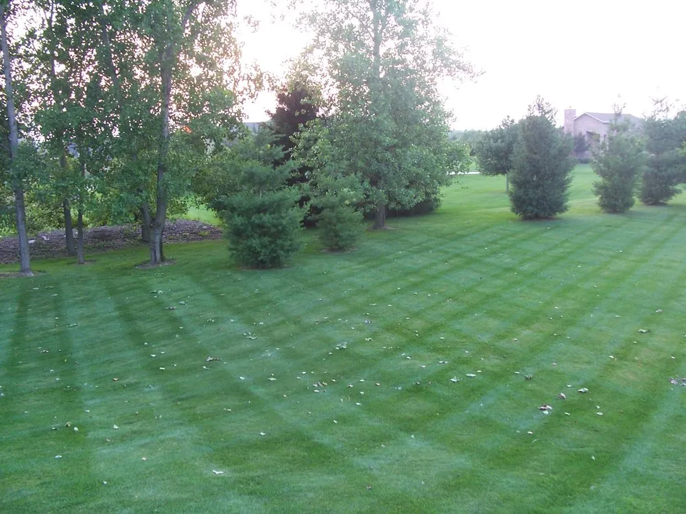 Trusted yard maintenance in Springfield, OH - Natural Solutions Landscape Management
