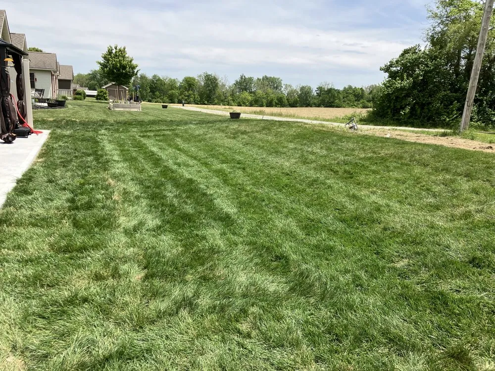 Custom yard maintenance experts serving Springfield, OH - Natural Solutions Landscape Management