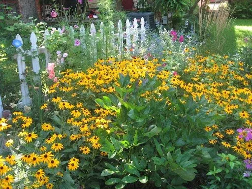 Affordable lawn mowing service in Springfield, OH by Natural Solutions Landscape Management