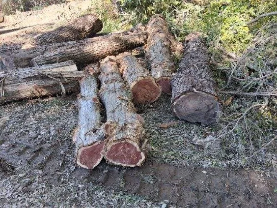 Top-rated residential landscaping experts serving Rogers, AR - Natural State Curbing