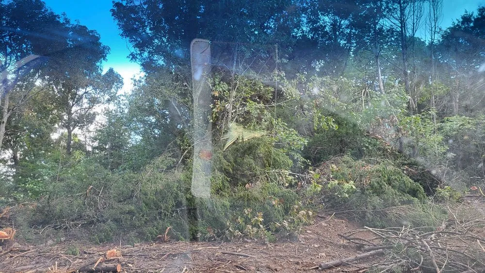 Top-rated outdoor landscaping experts serving Rogers, AR - Natural State Curbing