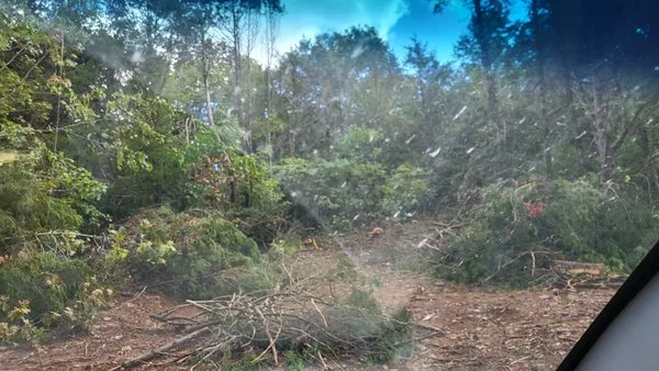 Natural State Curbing Logo