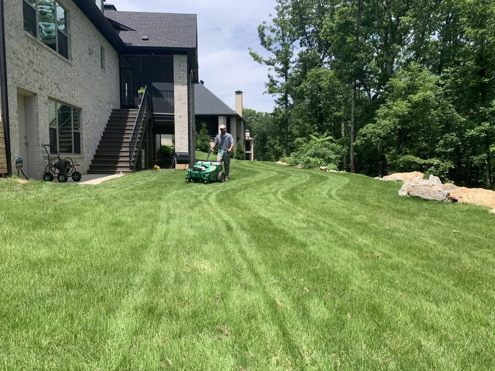 Custom yard cleanup service for year-round maintenance across North Little Rock, AR - Natural State Horticare