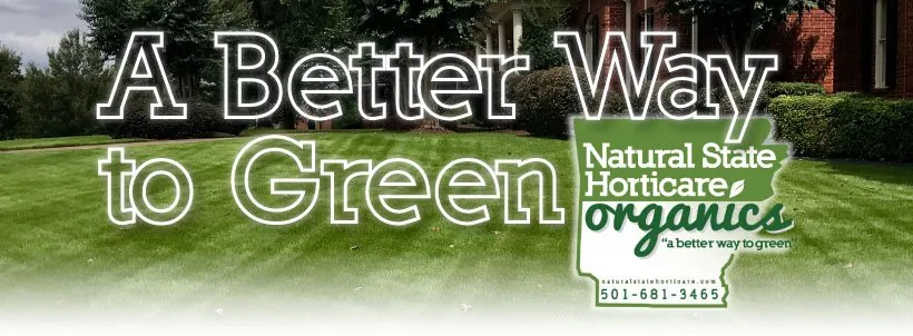 Custom outdoor landscaping experts serving North Little Rock, AR - Natural State Horticare