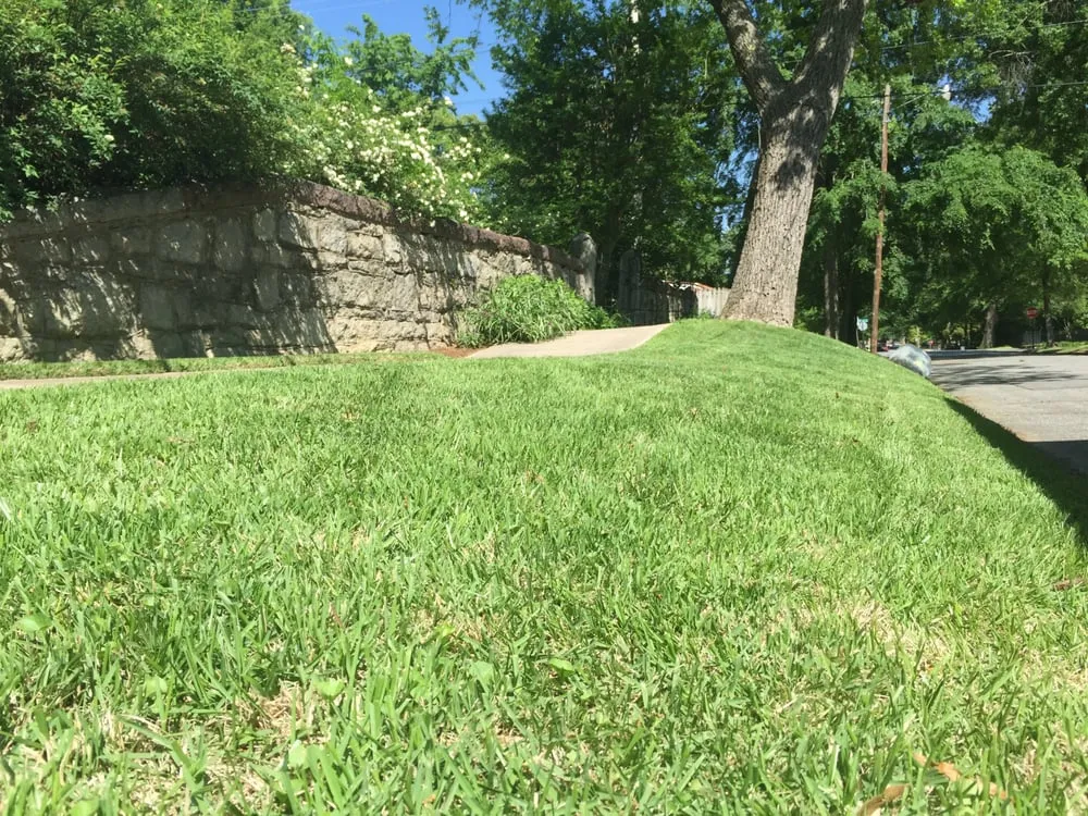 Professional lawn care service experts serving North Little Rock, AR - Natural State Horticare