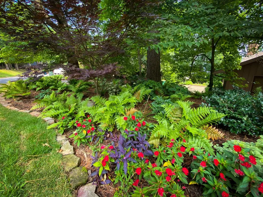 Top-rated landscape installation with custom design across North Little Rock, AR - Natural State Horticare