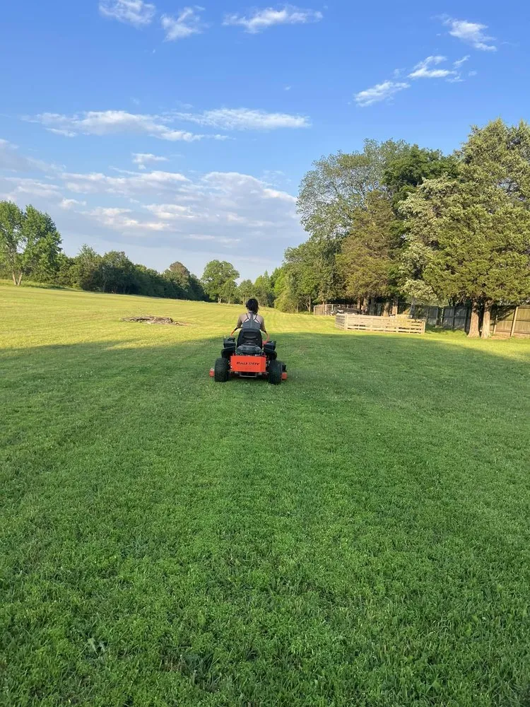 Reliable residential landscaping in Rudy, AR by Natural State Lawn Services