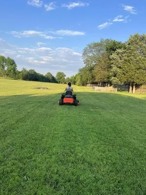 Natural State Lawn Services Logo