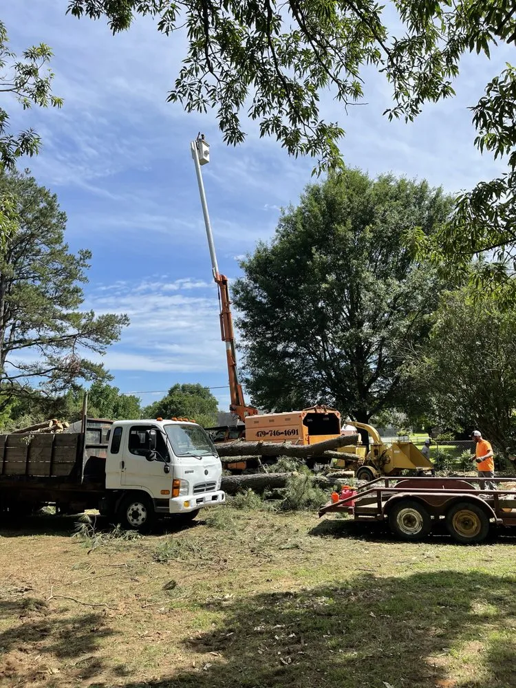 Professional outdoor landscaping in Fort Smith, AR - Natural State Tree and Landscaping Service