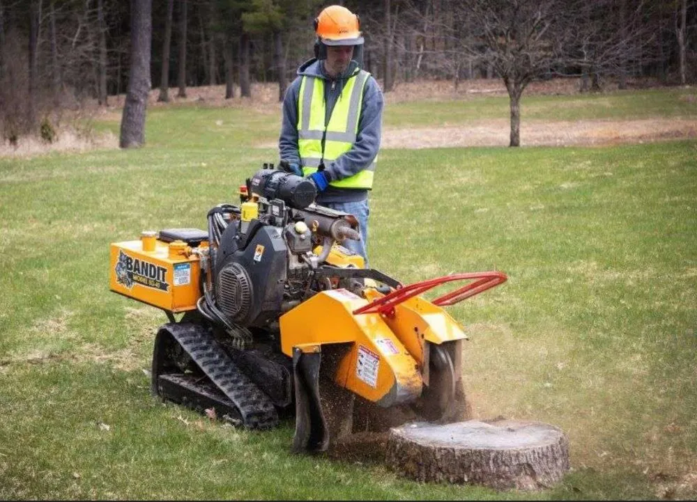 Affordable lawn mowing service for beautiful yards across Fort Smith, AR - Natural State Tree and Landscaping Service