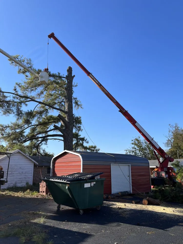Expert yard cleanup service with custom design in Fort Smith, AR by Natural State Tree and Landscaping Service